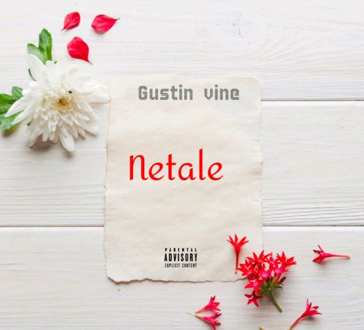 Gustin Vine Official